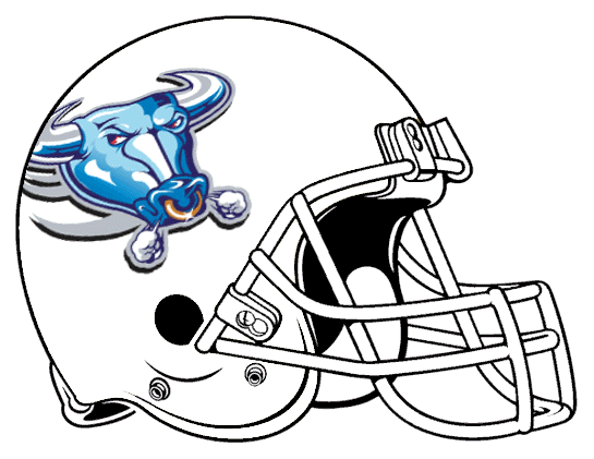 Buffalo Bulls 1997 Helmet Logo diy iron on heat transfer
